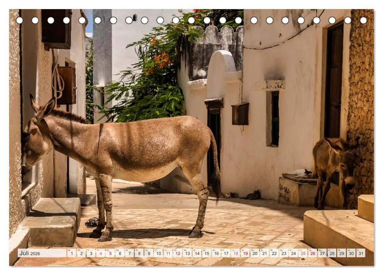 Bild: 9783457573457 | lamu - eintauchen in eine andere Welt vor der Küste Kenias...