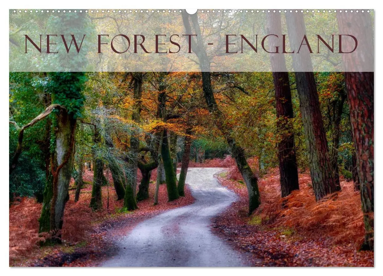 Cover: 9783457953457 | New Forest - England (Wandkalender 2026 DIN A2 quer), CALVENDO...