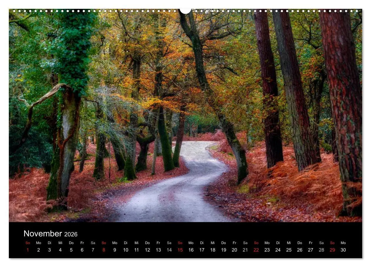 Bild: 9783457953457 | New Forest - England (Wandkalender 2026 DIN A2 quer), CALVENDO...