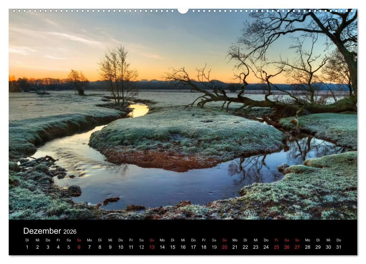 Bild: 9783457953457 | New Forest - England (Wandkalender 2026 DIN A2 quer), CALVENDO...
