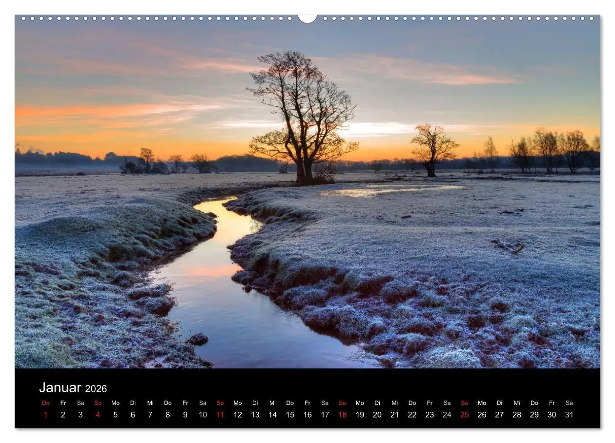Bild: 9783457953457 | New Forest - England (Wandkalender 2026 DIN A2 quer), CALVENDO...