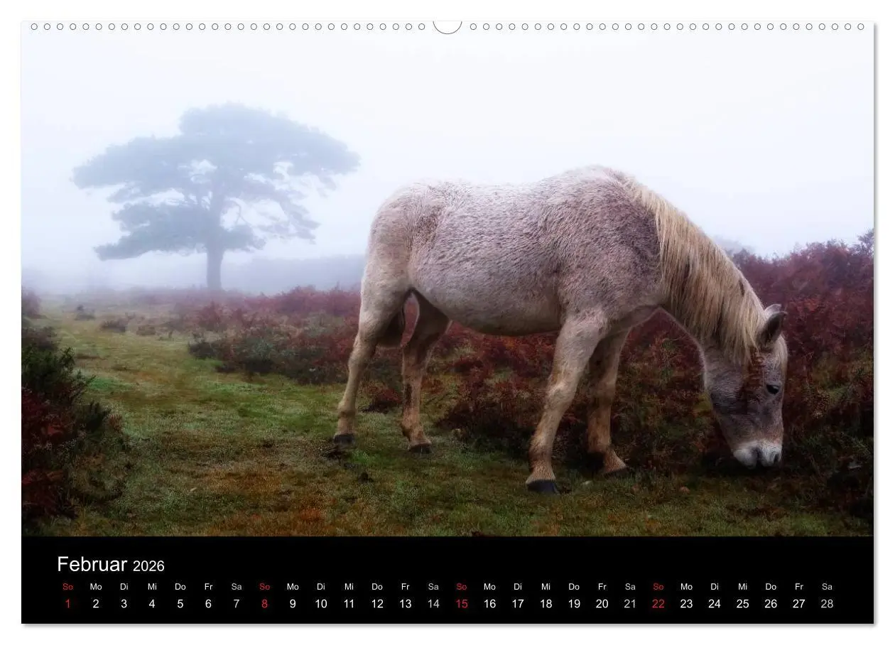 Bild: 9783457953457 | New Forest - England (Wandkalender 2026 DIN A2 quer), CALVENDO...