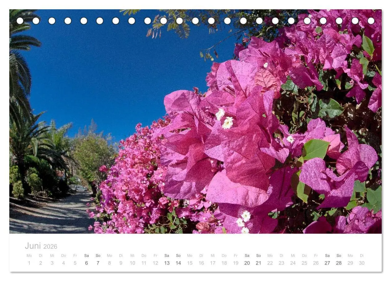 Bild: 9783516113457 | Sehnsucht nach Fuerteventura (Tischkalender 2026 DIN A5 quer),...