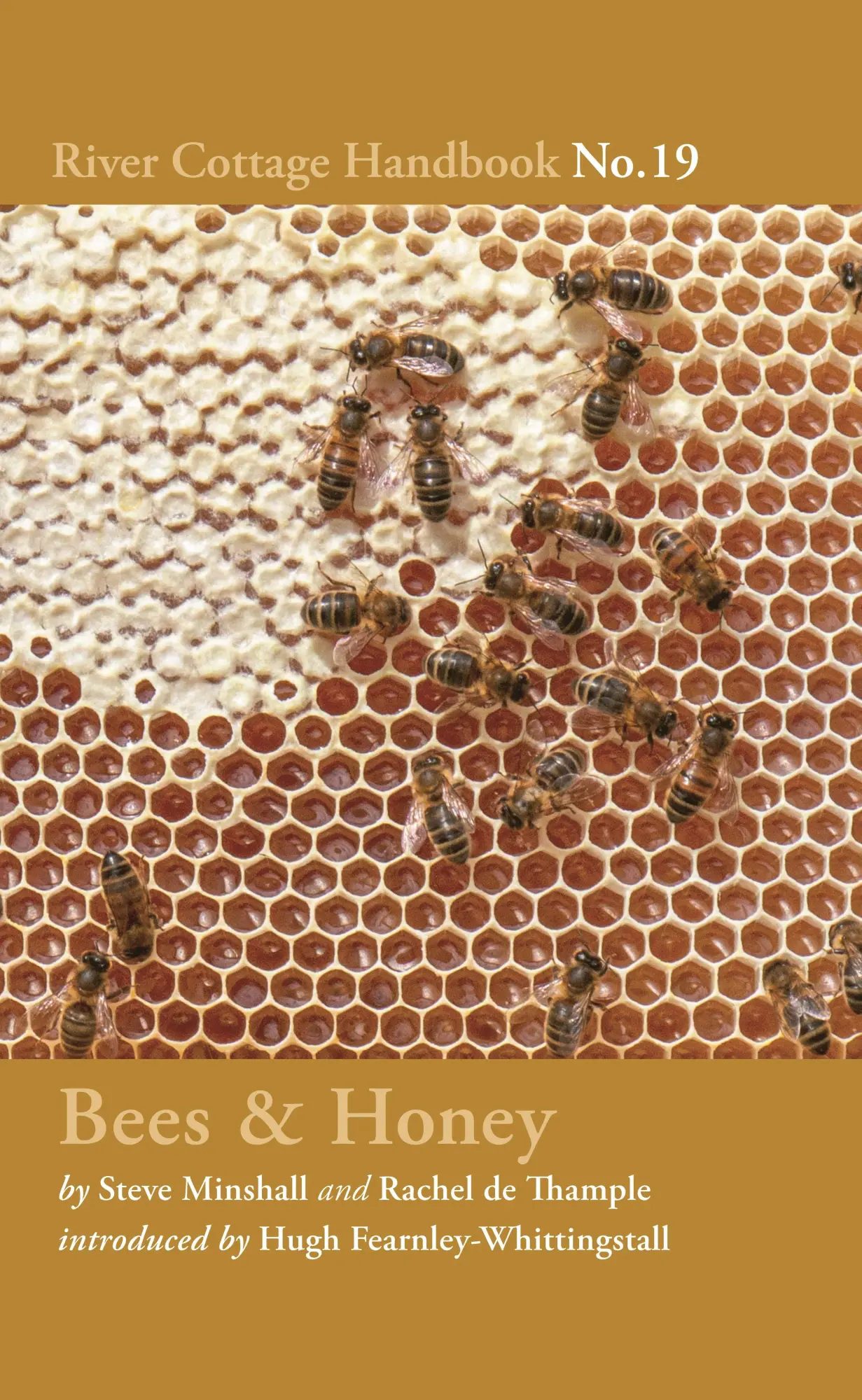 Cover: 9781408873557 | Bees &amp; Honey | River Cottage Handbook No.19 | Rachel De Thample | Buch