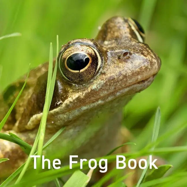 Cover: 9781802583557 | Nature Book Series: The Frog Book | Jo Byrne | Buch | Gebunden | 2023