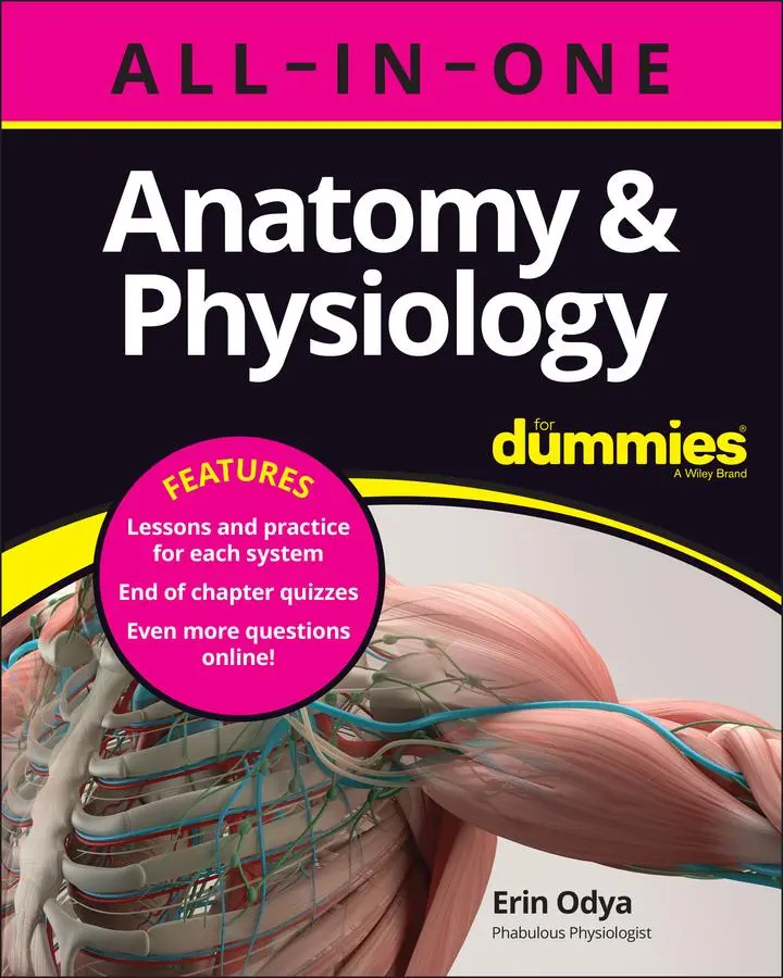 Cover: 9781394153657 | Anatomy &amp; Physiology All-In-One for Dummies (+ Chapter Quizzes Online)