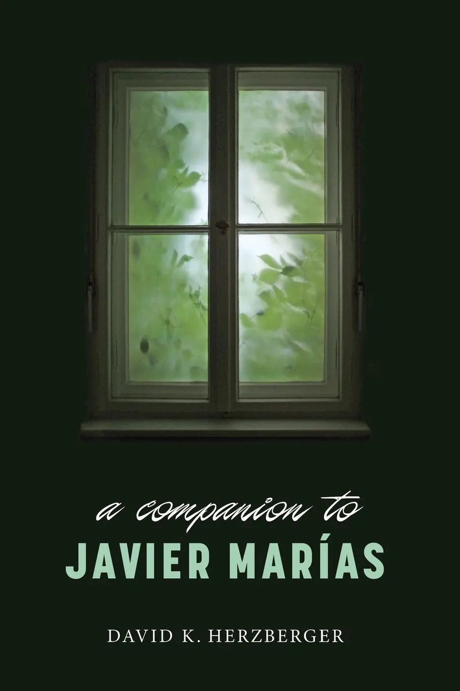 Cover: 9781855663657 | Companion to Javier Marías | David K Herzberger | Taschenbuch | 2022