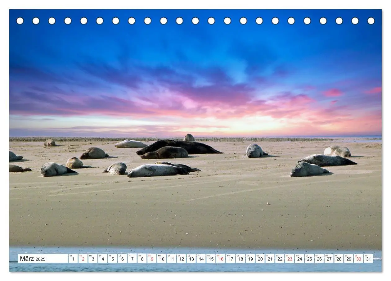 Bild: 9783383823657 | Verliebt in Borkum (Tischkalender 2025 DIN A5 quer), CALVENDO...