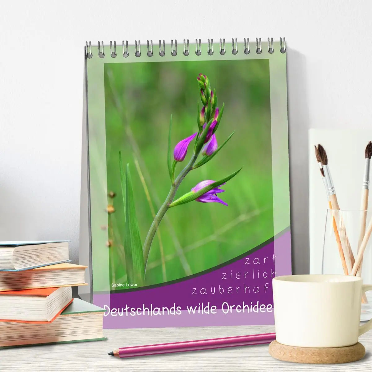 Bild: 9783516403657 | Deutschlands wilde Orchideen (Tischkalender 2026 DIN A5 hoch),...