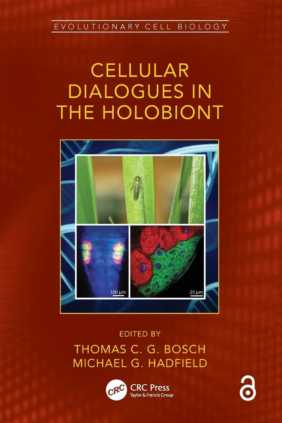 Cover: 9780367513757 | Cellular Dialogues in the Holobiont | Thomas C. G. Bosch (u. a.)