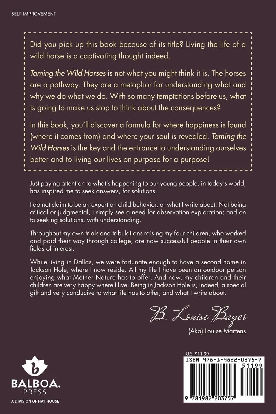 Rückseite: 9781982203757 | Taming the Wild Horses | On Purpose for a Purpose | B. Louise Bayer