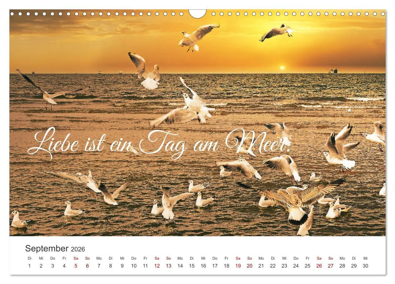Bild: 9783457543757 | Lass uns ans Meer fahren (Wandkalender 2026 DIN A3 quer), CALVENDO...