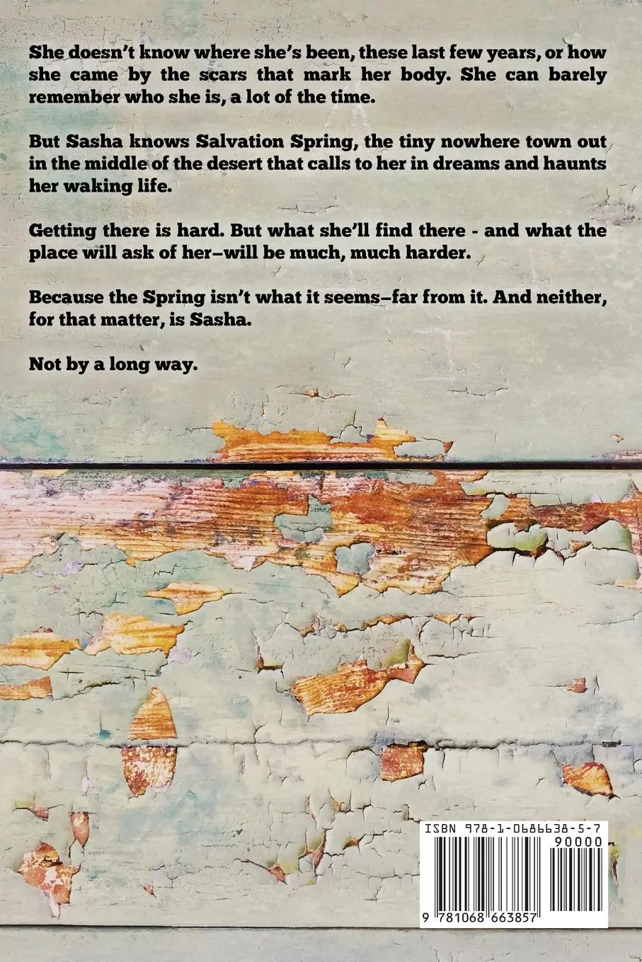 Rückseite: 9781068663857 | Salvation Spring | A Weird, Queer Western Novella | Tc Parker | Buch