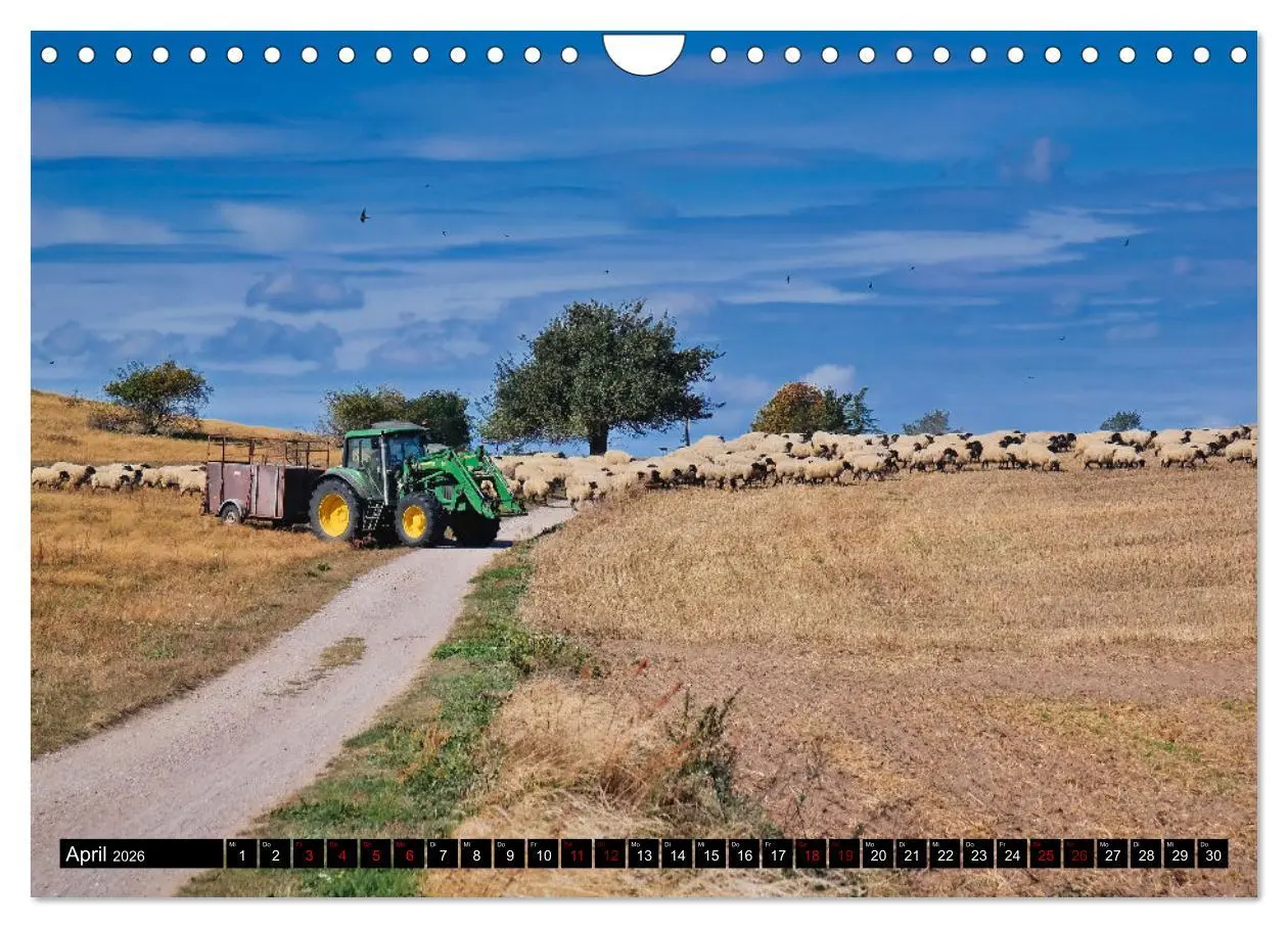 Bild: 9783457913857 | Das Mönchgut und Gager (Wandkalender 2026 DIN A4 quer), CALVENDO...