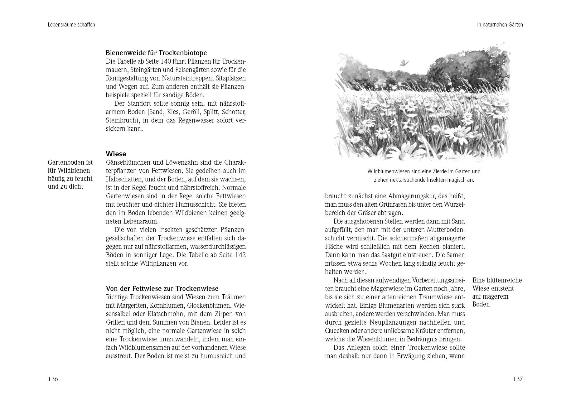 Bild: 9783895663857 | Das Insektenhotel | Wolf Richard Günzel | Buch | 180 S. | Deutsch