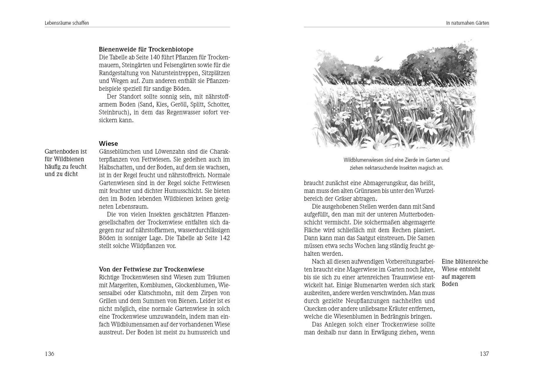 Bild: 9783895663857 | Das Insektenhotel | Wolf Richard Günzel | Buch | 180 S. | Deutsch