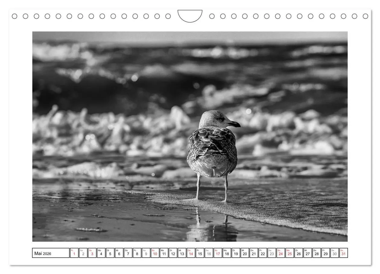 Bild: 9783516093957 | Am Strand von St. Peter-Ording SCHWARZ-WEISS (Wandkalender 2026 DIN...