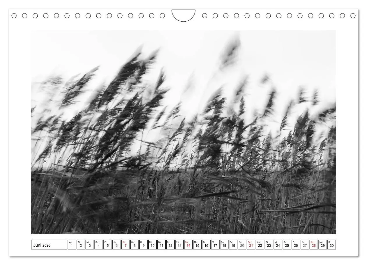 Bild: 9783516093957 | Am Strand von St. Peter-Ording SCHWARZ-WEISS (Wandkalender 2026 DIN...
