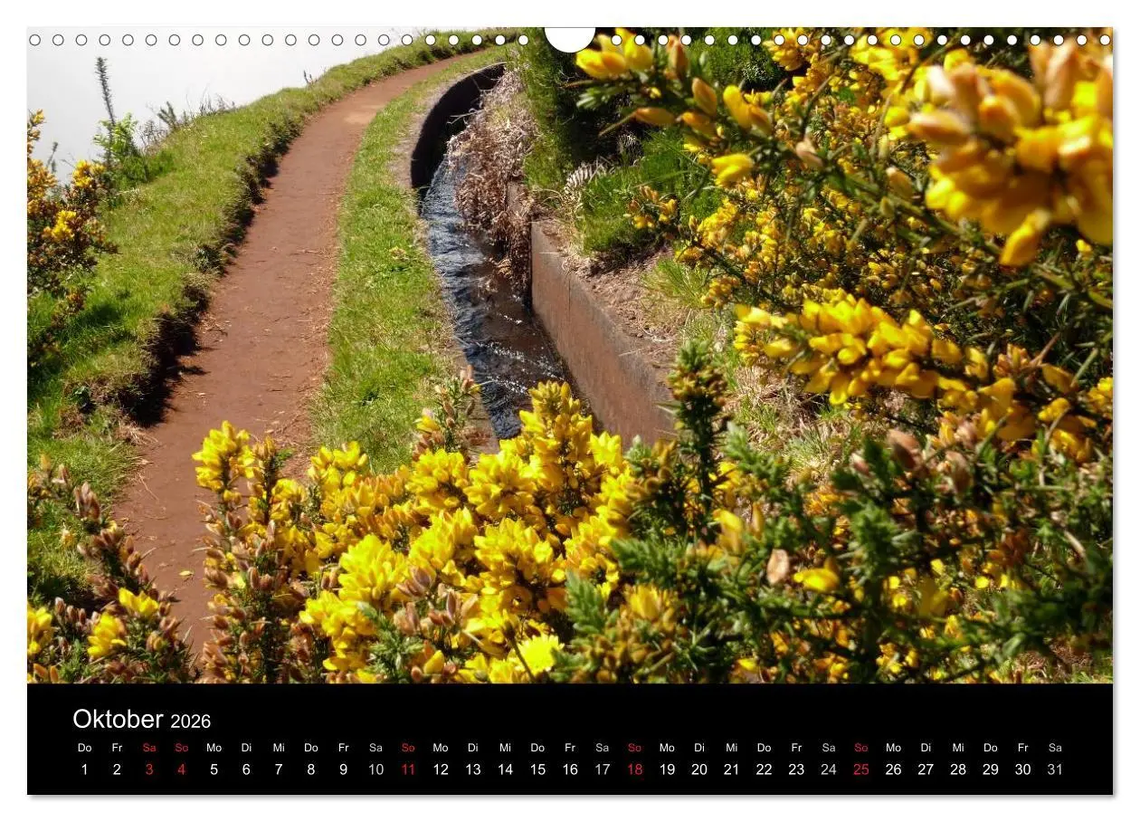 Bild: 9783516163957 | Madeira 2026 (Wandkalender 2026 DIN A3 quer), CALVENDO Monatskalender