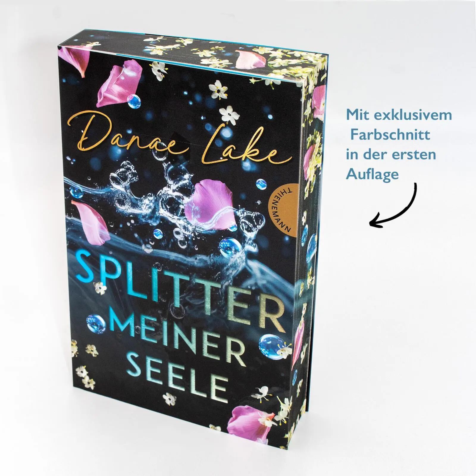 Bild: 9783522204057 | Splitter meiner Seele | Danae Lake | Taschenbuch | 400 S. | Deutsch