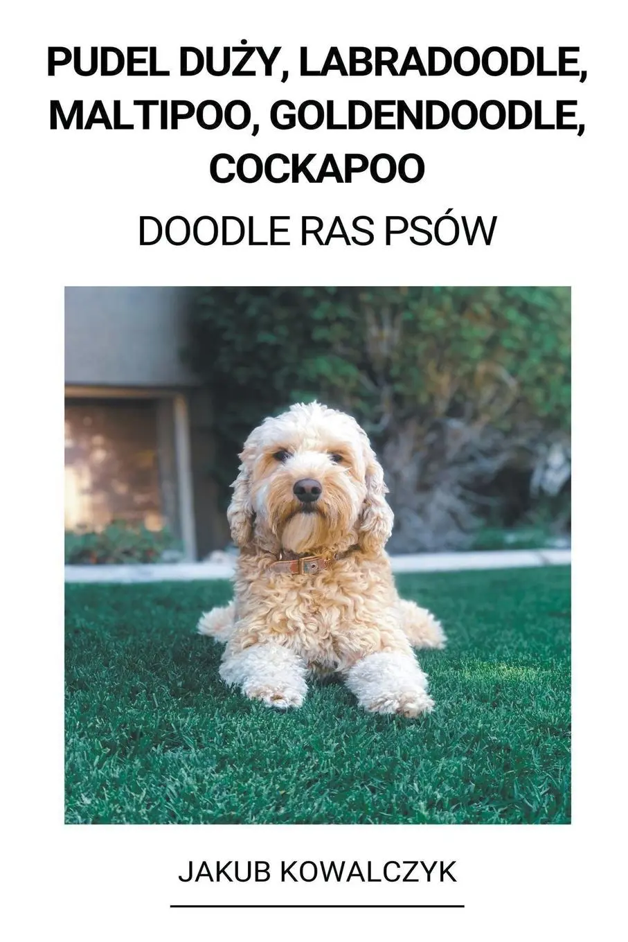 Cover: 9798215414057 | Pudel Du¿y, Labradoodle, Maltipoo, Goldendoodle, Cockapoo (Doodle...