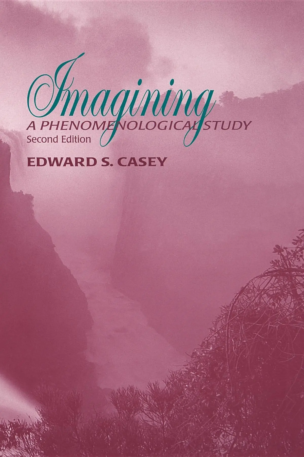 Cover: 9780253214157 | Imagining: A Phenomenological Study | Edward S. Casey | Taschenbuch