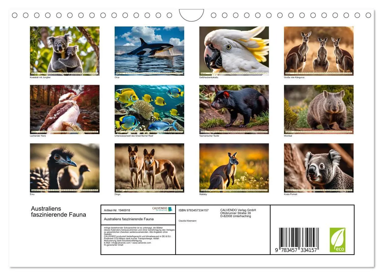 Bild: 9783457334157 | Australiens faszinierende Fauna (Wandkalender 2026 DIN A4 quer),...