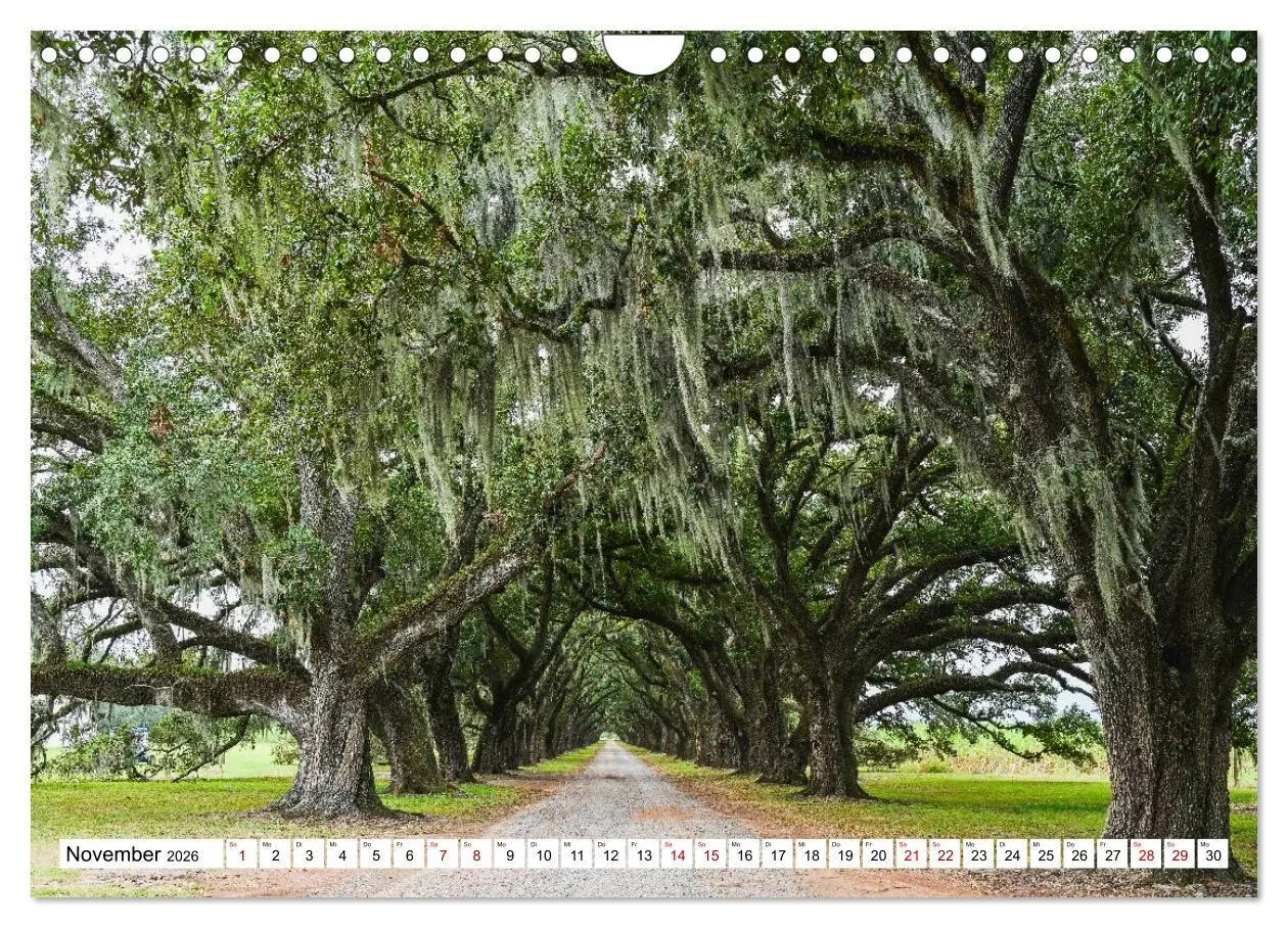 Bild: 9783516734157 | Louisiana - Sümpfe und Plantagenhäuser (Wandkalender 2026 DIN A4...