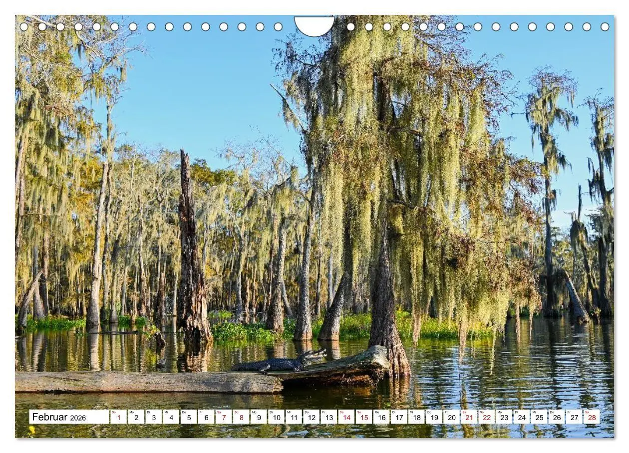 Bild: 9783516734157 | Louisiana - Sümpfe und Plantagenhäuser (Wandkalender 2026 DIN A4...