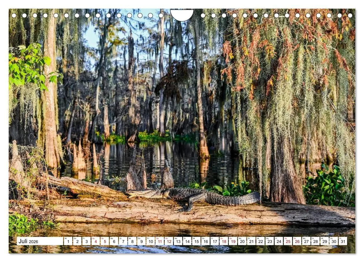 Bild: 9783516734157 | Louisiana - Sümpfe und Plantagenhäuser (Wandkalender 2026 DIN A4...