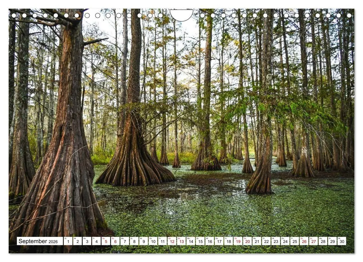 Bild: 9783516734157 | Louisiana - Sümpfe und Plantagenhäuser (Wandkalender 2026 DIN A4...