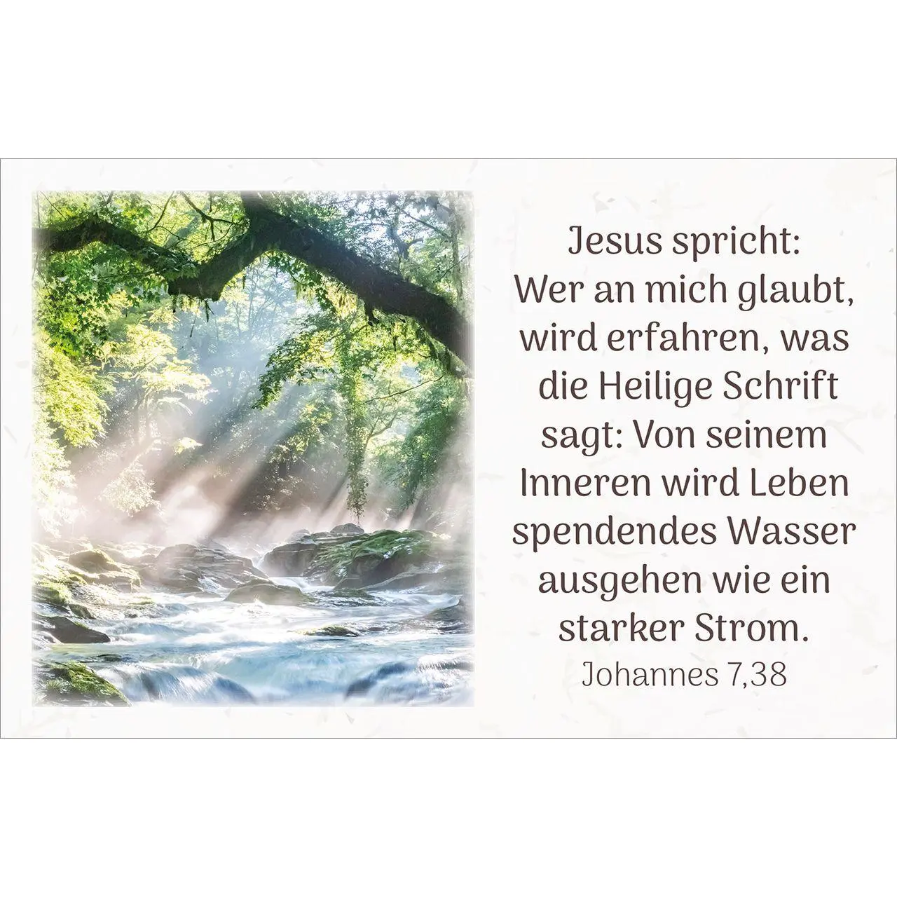 Bild: 4034905014257 | Himmlische Zusagen | 62 Karten mit Farbbildern und Bibelworten | Buch