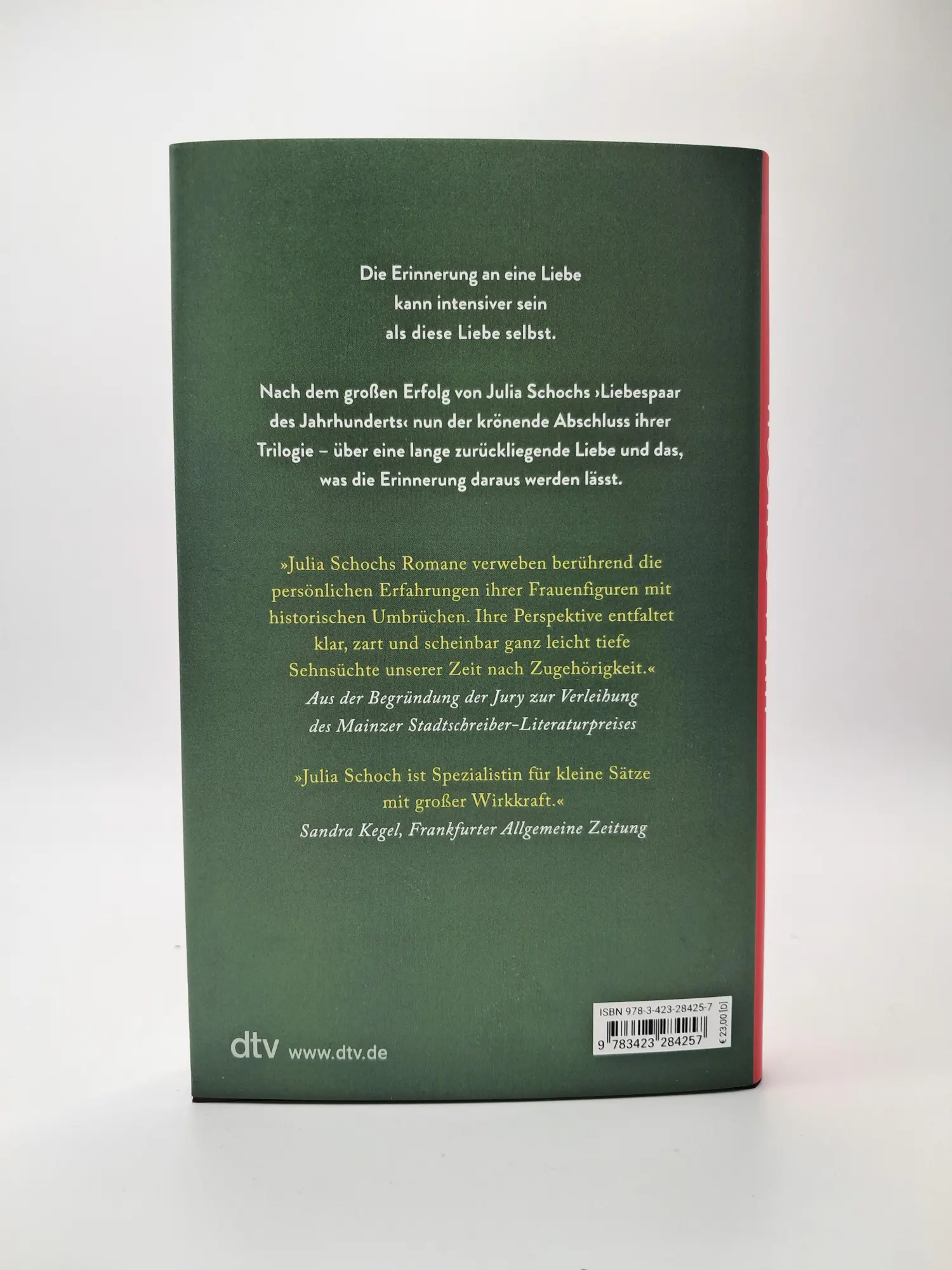 Bild: 9783423284257 | Wild nach einem wilden Traum | Julia Schoch | Buch | 176 S. | Deutsch
