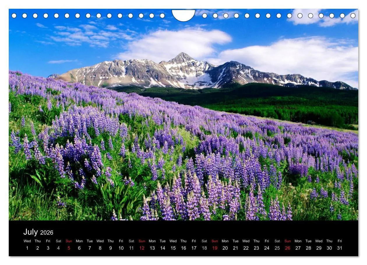 Bild: 9783516584257 | USA - National Parks (Wall Calendar 2026 DIN A4 landscape),...
