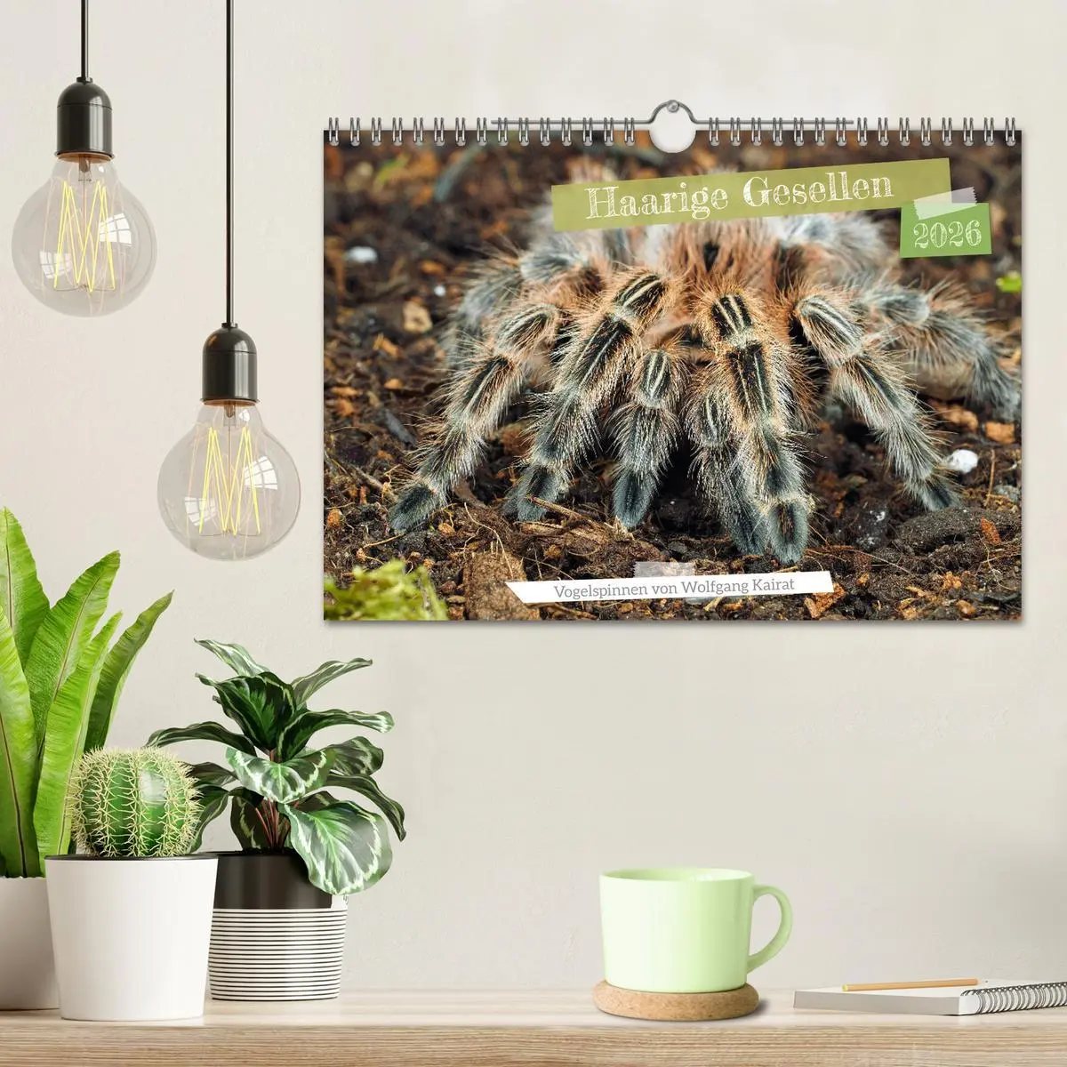 Bild: 9783457314357 | Haarige Gesellen (Wandkalender 2026 DIN A4 quer), CALVENDO...