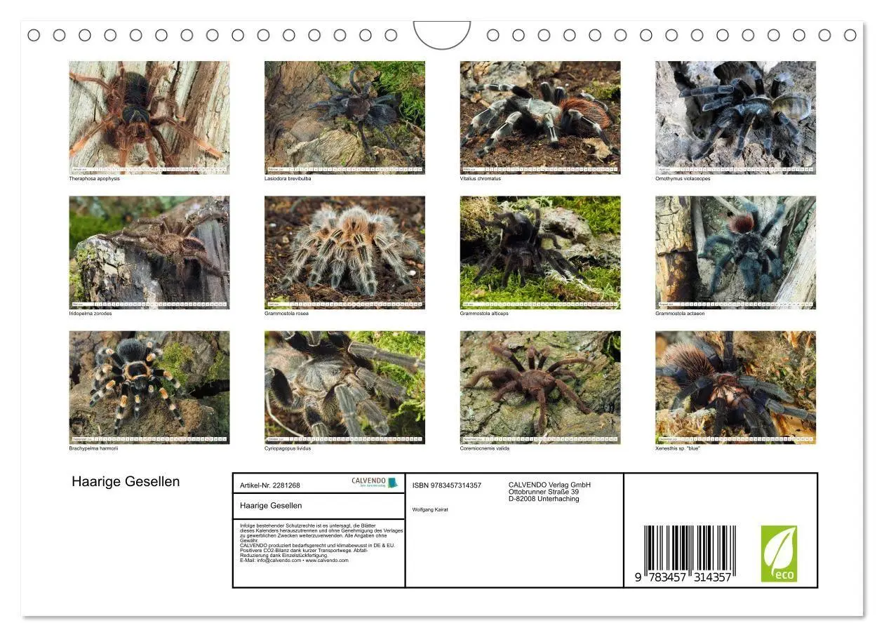 Bild: 9783457314357 | Haarige Gesellen (Wandkalender 2026 DIN A4 quer), CALVENDO...
