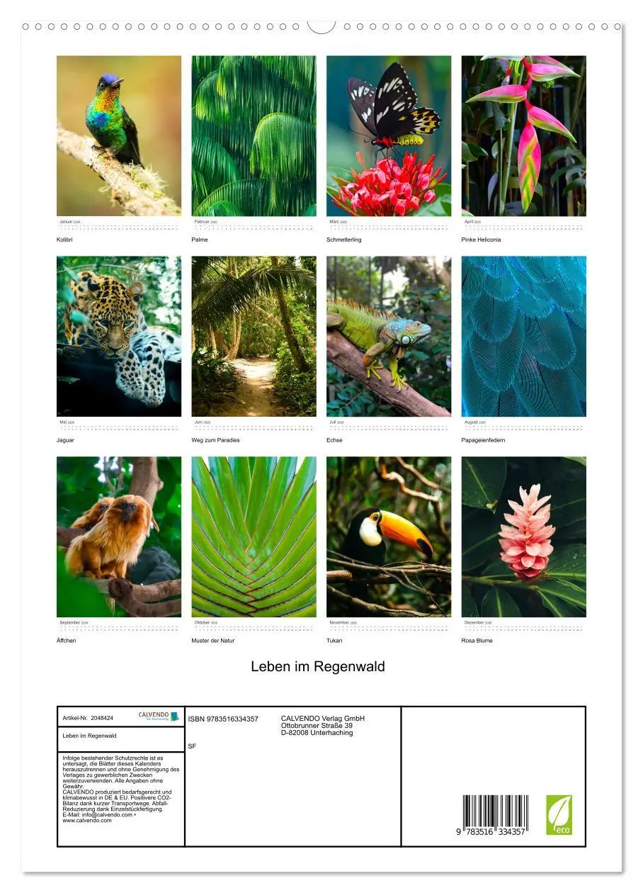 Bild: 9783516334357 | Leben im Regenwald (hochwertiger Premium Wandkalender 2026 DIN A2...