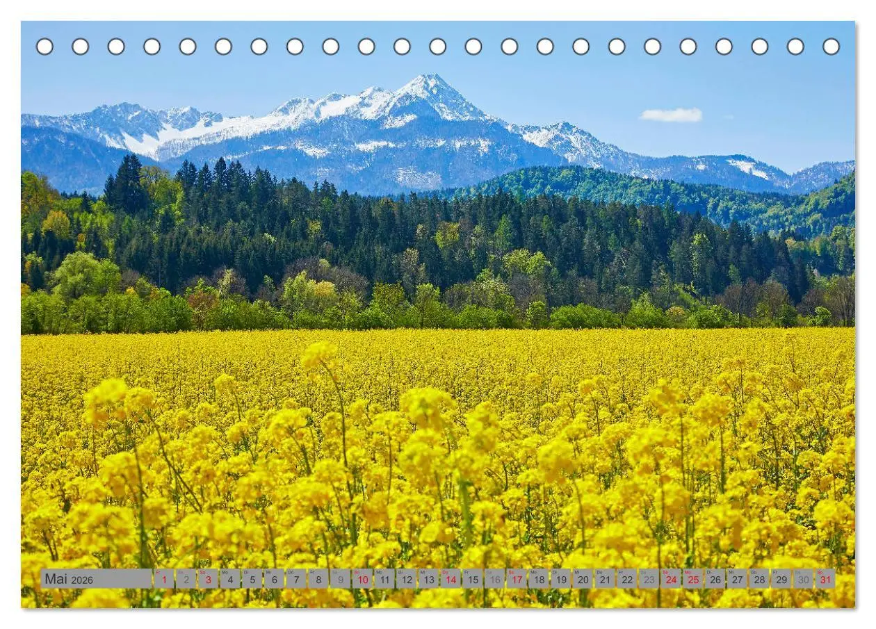 Bild: 9783457474457 | Kärnten (Tischkalender 2026 DIN A5 quer), CALVENDO Monatskalender
