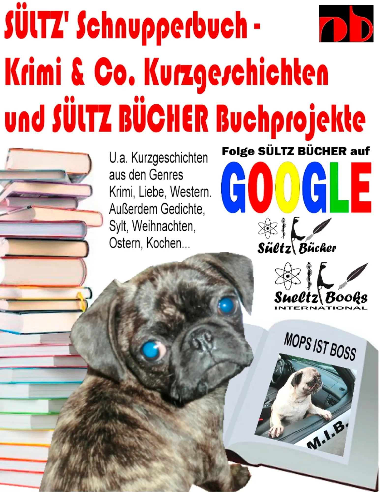 Sültz' Schnupperbuch - Krimi &amp, Co. Kurzgeschichten und Sültz Bücher Buchprojekte