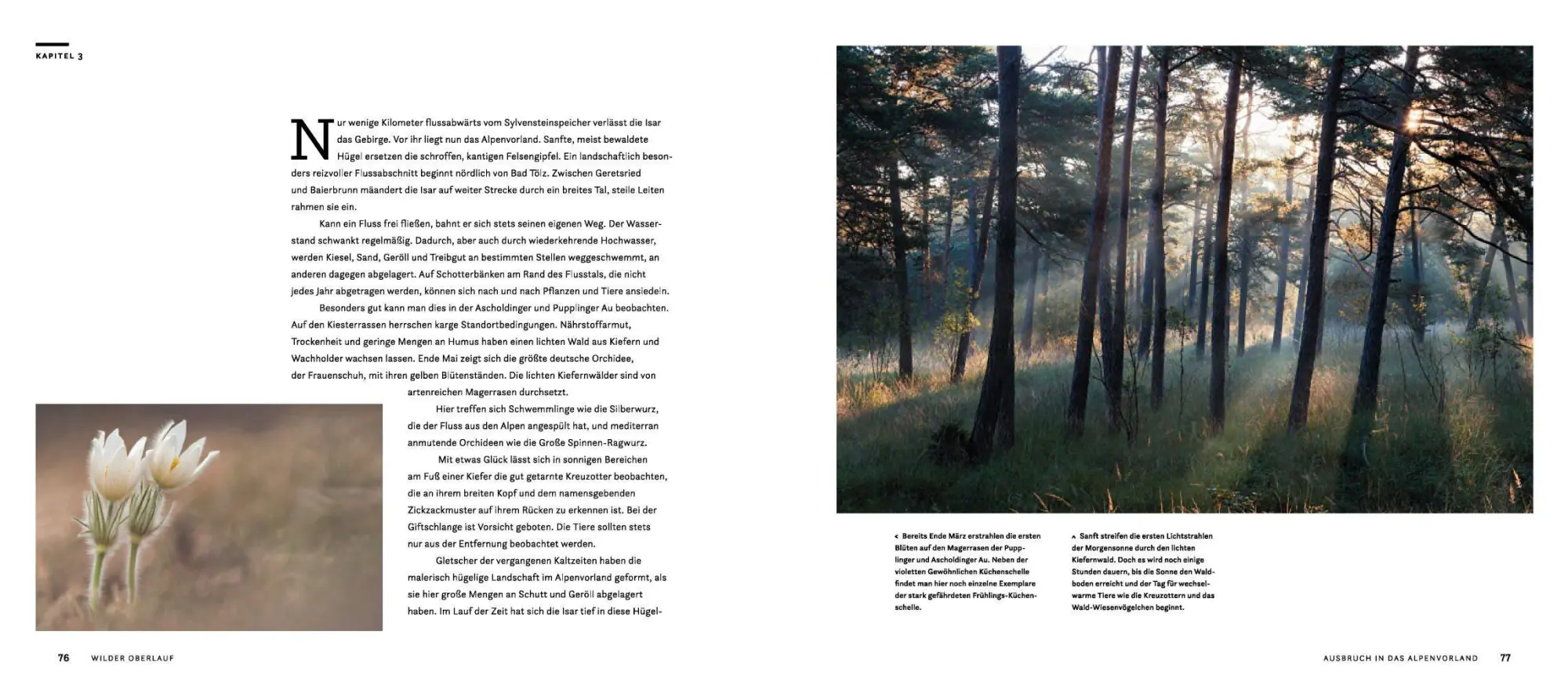 Bild: 9783957284457 | Wilde Isar | Karl Seidl (u. a.) | Buch | 192 S. | Deutsch | 2020