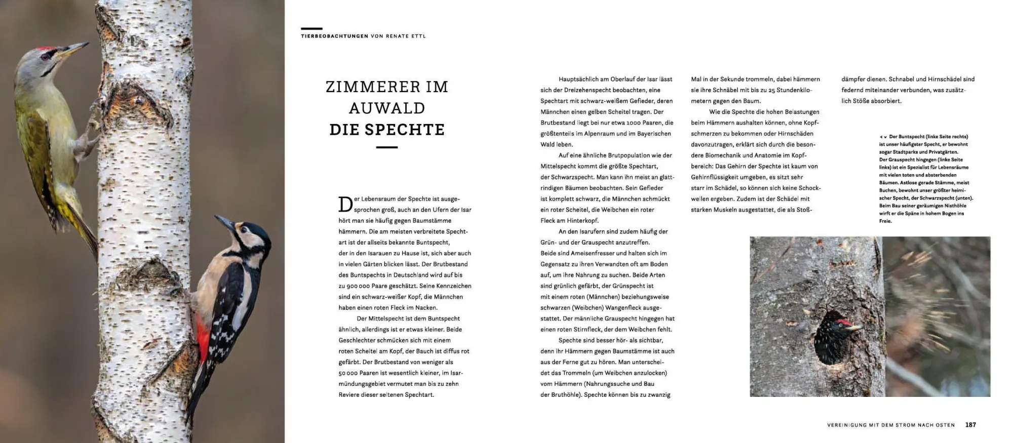 Bild: 9783957284457 | Wilde Isar | Karl Seidl (u. a.) | Buch | 192 S. | Deutsch | 2020
