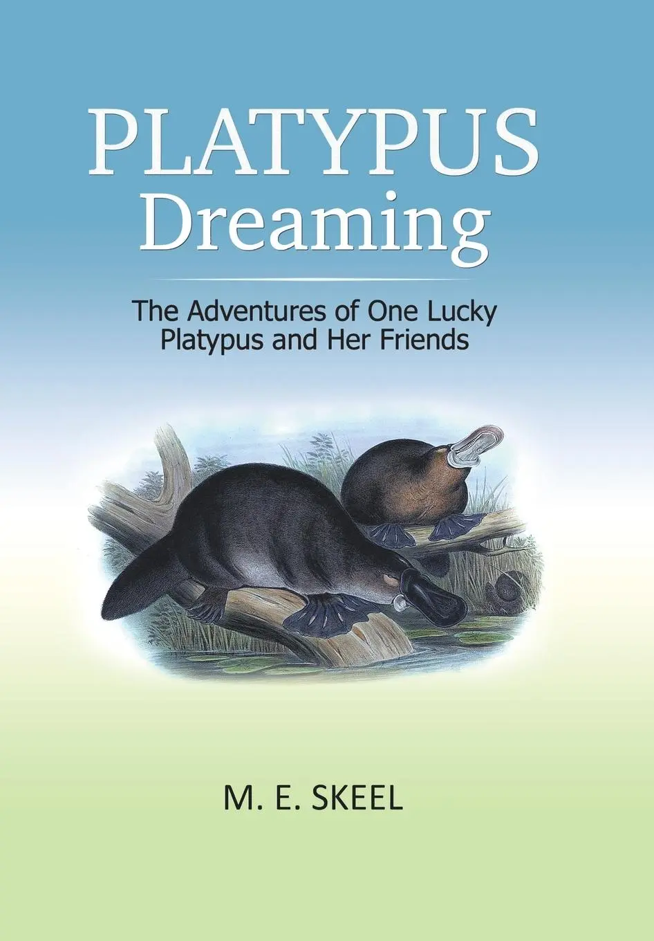 Cover: 9781796004557 | Platypus Dreaming | M E Skeel | Buch | Gebunden | Englisch | 2019