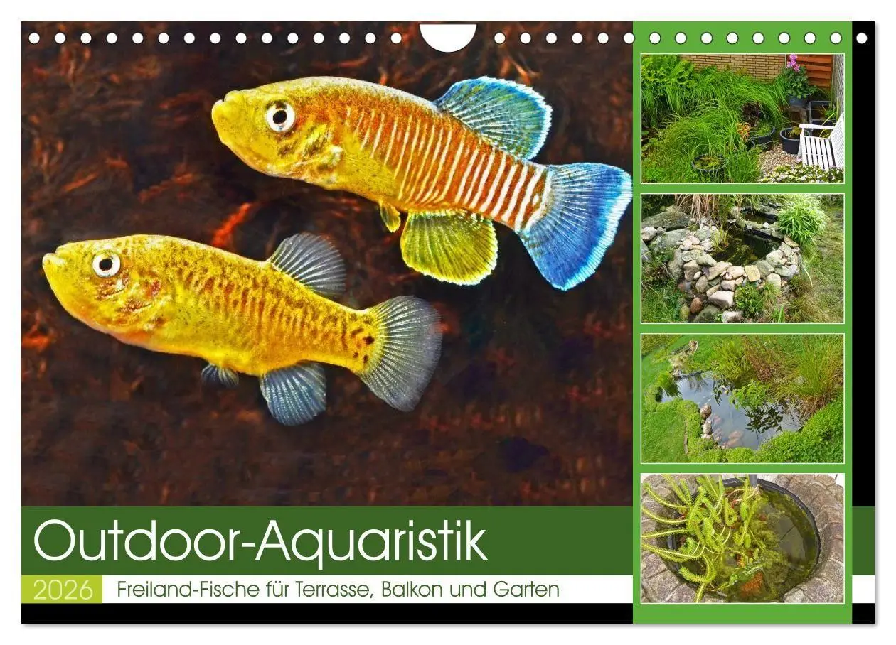 Cover: 9783457534557 | Outdoor-Aquaristik (Wandkalender 2026 DIN A4 quer), CALVENDO...