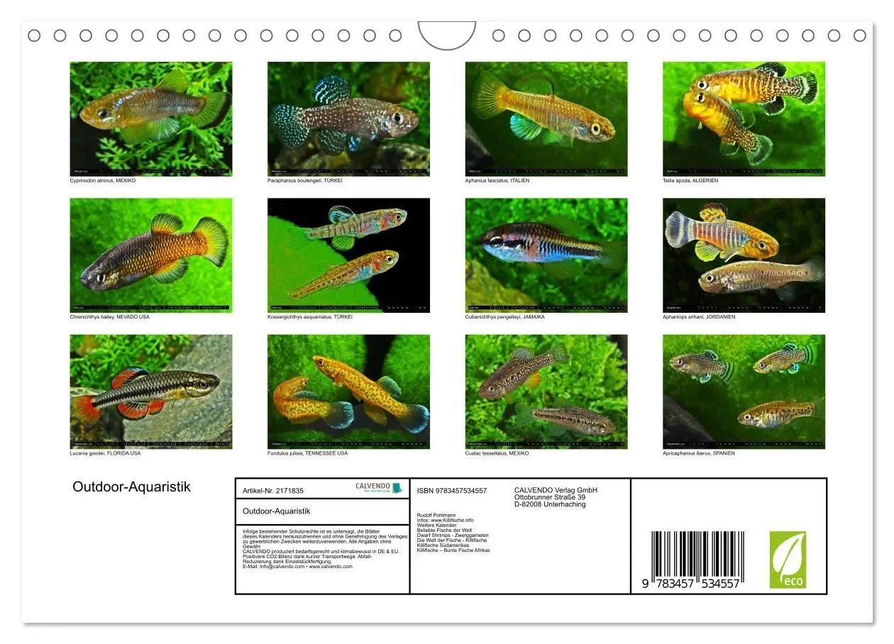 Bild: 9783457534557 | Outdoor-Aquaristik (Wandkalender 2026 DIN A4 quer), CALVENDO...