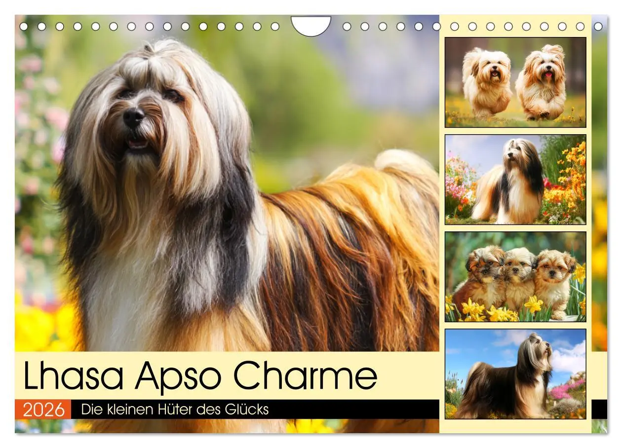 Cover: 9783457774557 | Lhasa Apso Charme. Die kleinen Hüter des Glücks (Wandkalender 2026...