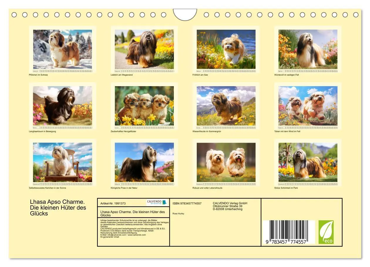 Bild: 9783457774557 | Lhasa Apso Charme. Die kleinen Hüter des Glücks (Wandkalender 2026...