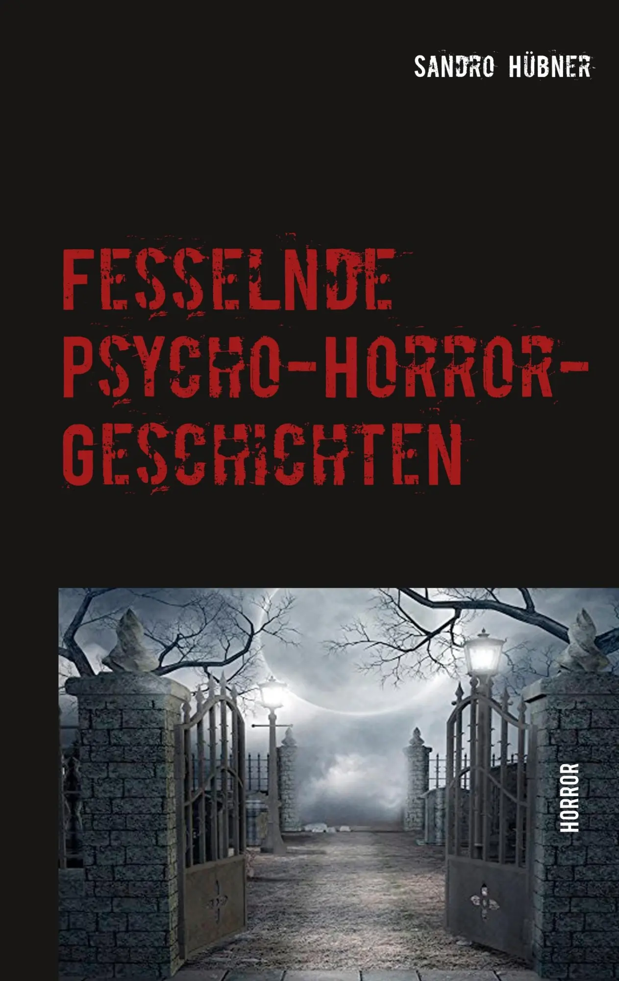 Cover: 9783740744557 | Fesselnde Psycho-Horror-Geschichten | Horror | Sandro Hübner | Buch