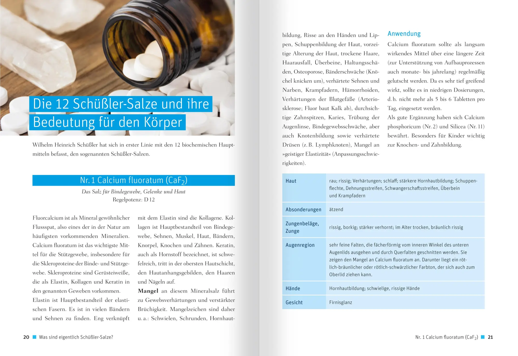 Bild: 9783863744557 | Schüßler-Salze - Gesichts- und Handdiagnostik | Reichenberg | Buch