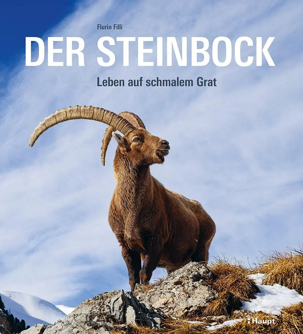 Cover: 9783258084657 | Der Steinbock | Leben auf schmalem Grat | Flurin Filli | Buch | 208 S.