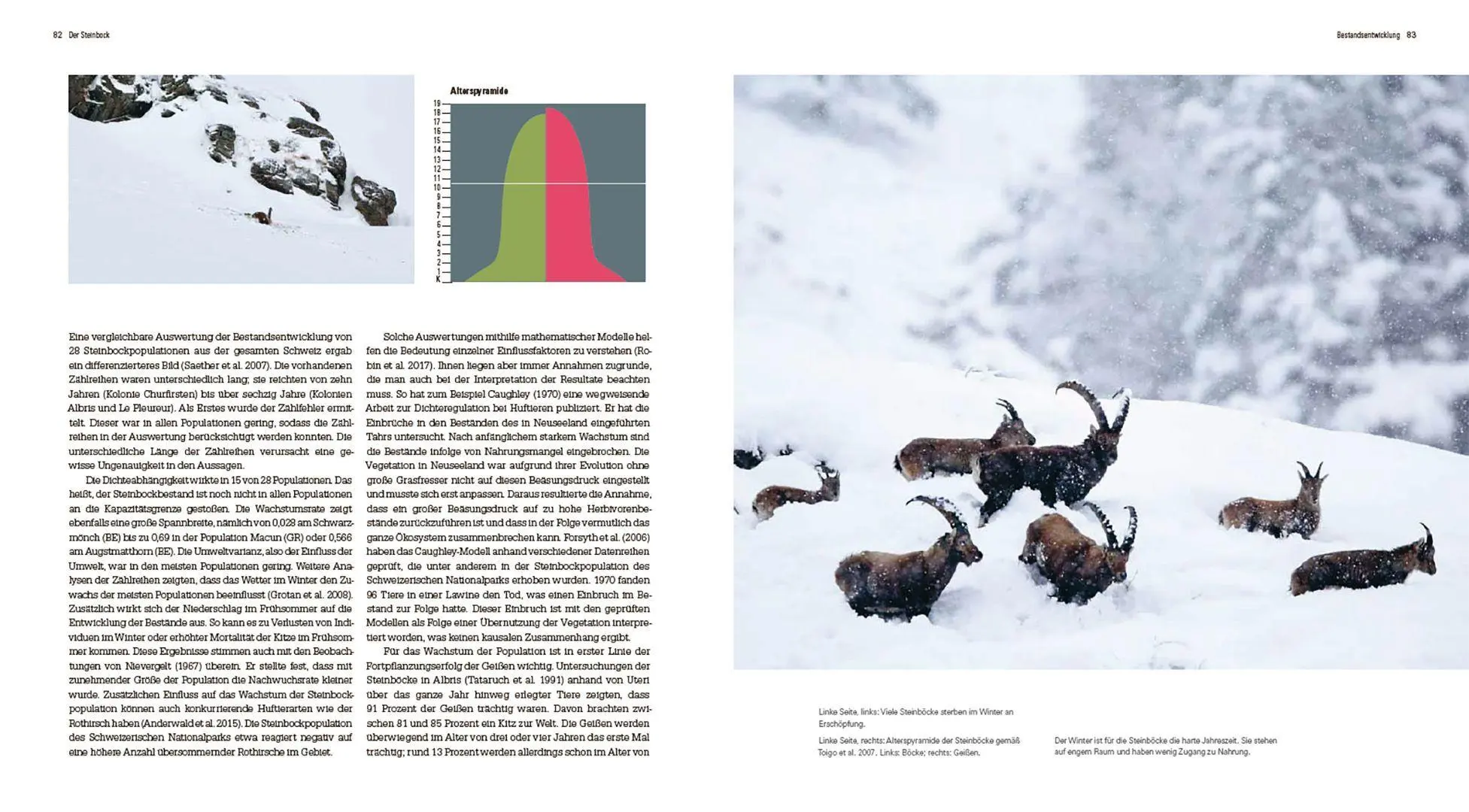 Bild: 9783258084657 | Der Steinbock | Leben auf schmalem Grat | Flurin Filli | Buch | 208 S.